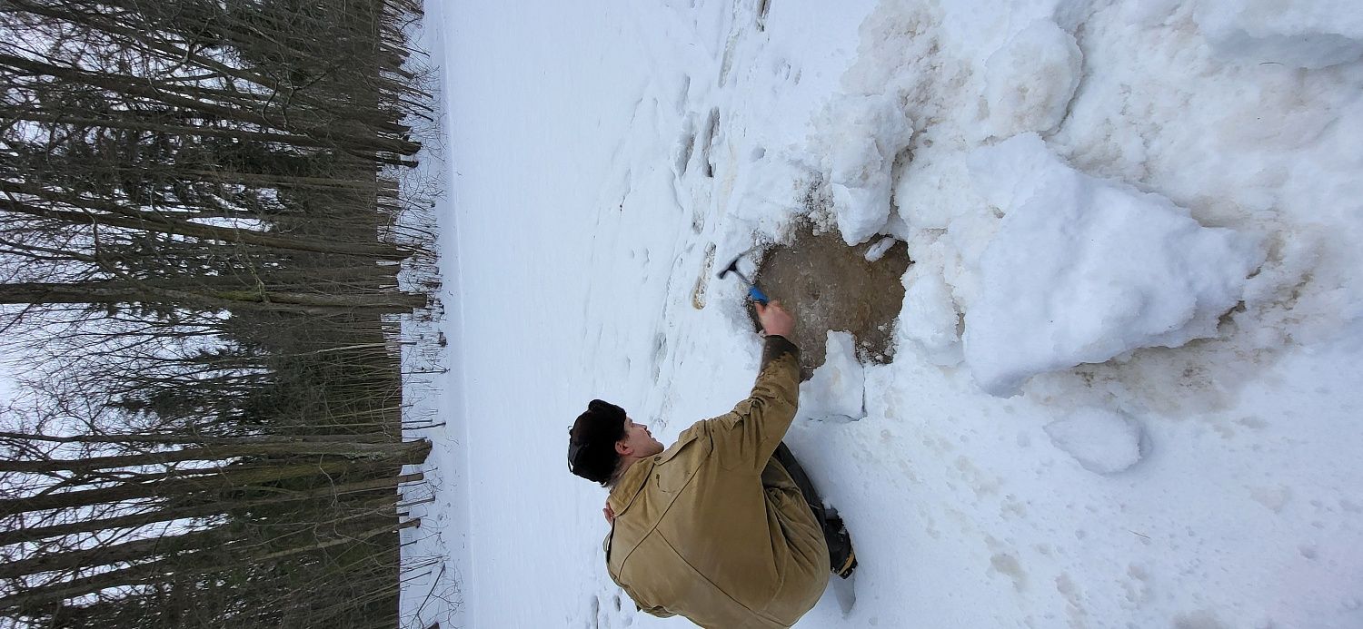 Исследование "Парка Сергеевка"