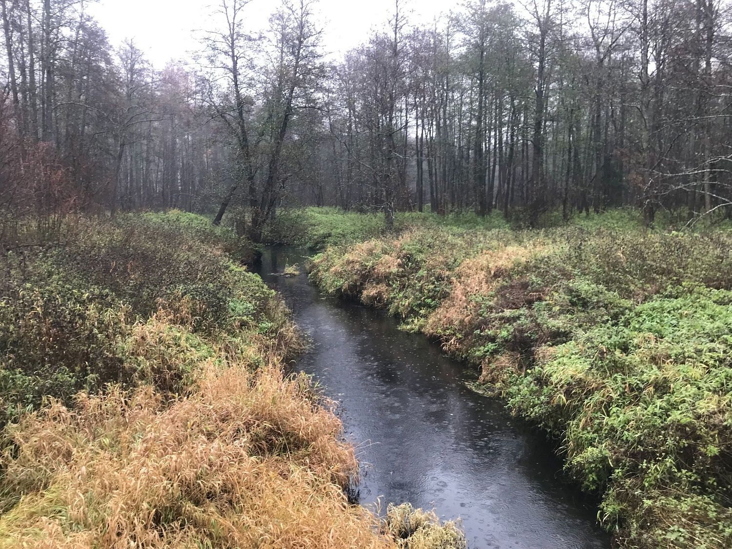 Участники МВС Владимирской области ведут исследовательскую работу над рекой Наромша.
