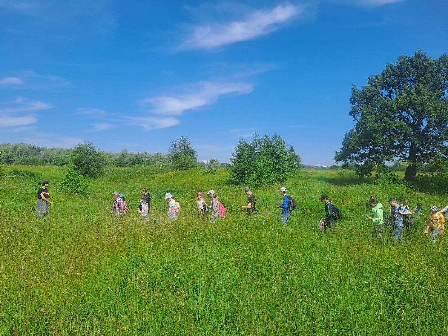 Члены МВС обнаружили краснокнижное растение на озере Сковородино Владимирской области