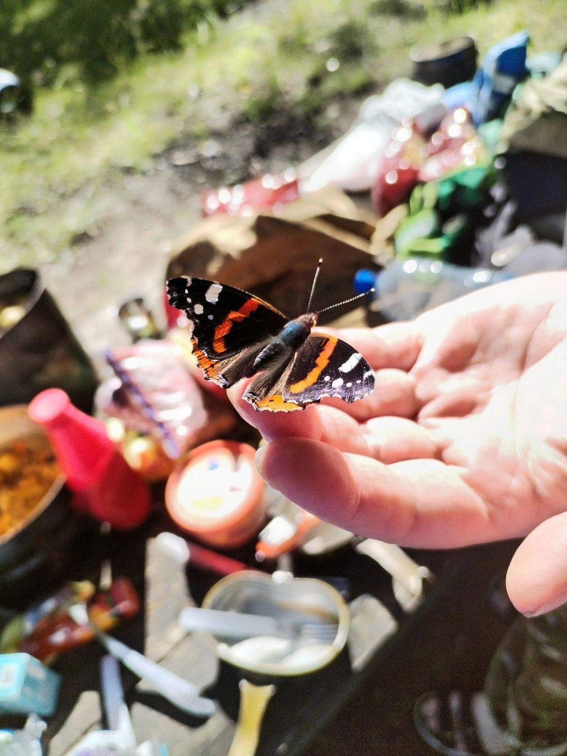 Уборка берега реки Преголя